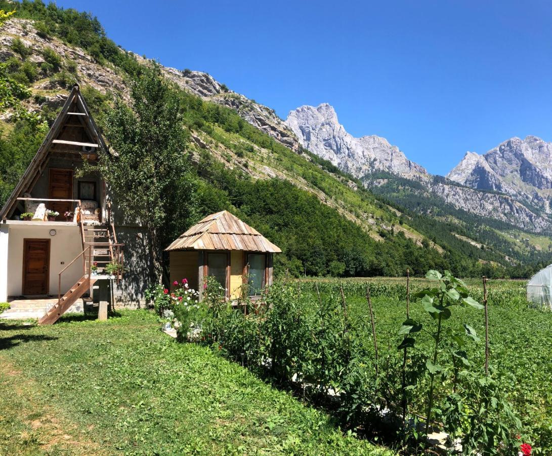 Guest House Ledio Valbona Exteriör bild